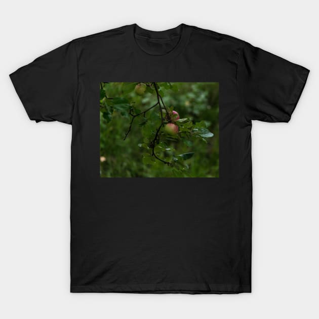 Apple a day. T-Shirt by CanadianWild418